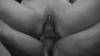 5E556779-F498-4904-B040-06D50AD16EF4.gif