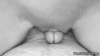 B6804D3B-3DC0-4ECD-B111-C64EA97F52FC.gif