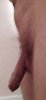 545_1000.jpg