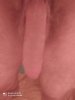 550_1000.jpg