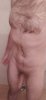 478_1000.jpg