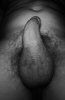 B5E7D350-5A33-43D4-86CA-7575FE3A4C21.jpeg
