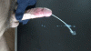 0CFC6687-428A-401F-B948-491D00F5DBF1.gif