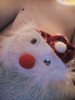 IMG_20201217_181315.jpg