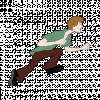 Shaggyrunninganimation1969.gif