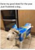FB_IMG_1608554998216.jpg