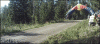 200 (1).gif