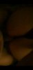 20210104_121353.jpg