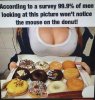 117F46F4-C829-4761-AE01-D08FAC4CAD7D.jpeg