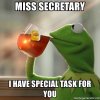 miss-secretary-i-have-special-task-for-you.jpg