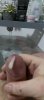 163FE2CF-E789-4D41-8695-A45BEAF24CED.jpeg