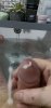 9394B00C-5EA8-4EC9-9593-ECDF22C56FF4.jpeg