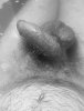 D931D24C-CDC5-43B8-9125-BB19B1C3CF95.jpeg