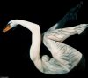 BodyArtSwan.jpg