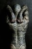 130802776f2834cb621f206c57154457--body-tattoos-tattoo-ink.jpg
