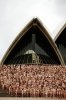 Photos-Mass-Nude-Art-Installation-Sydney-Opera-House-Spencer-Tunick.jpg