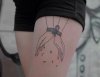 341044_7_600.jpeg