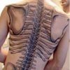 skeletal-back-tattoo-th.jpg