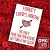 Cupids-Arrow-Rude-Valentines-Card-300x300.jpg