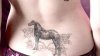 back-horse-1280x720.jpg