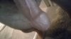 received_411132700123715.jpeg