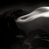 image-copyright-denis-olivier-anne-poitiers-france-998-thumb.jpg