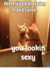 Good Morning Sexy Meme (1).jpg