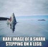 fb1aa1741fd2d61fed91a083eb35bb2725129c73.jpeg