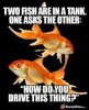 7cf7fddb7be4eee70cfe2c1e9912542eba8684f1.jpeg