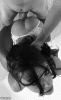 54DA8C50-6CE8-4B65-985D-113326A2A29F.gif
