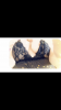 52BC166D-597E-4B6B-8790-B37BD09605C5.png