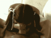 B8809E5B-8FD4-4E0B-AC80-F23CC1538657.gif