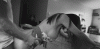 9348893B-58FB-4296-87BD-8E7884EB78AC.gif