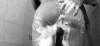 4160BEC2-6808-4912-9DCD-74496E3C1787.gif