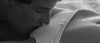 6a7e5150871c0a89a153429ea440a7cacd19fc6e.gif