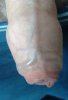 IMG_20201101_135616.jpg
