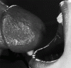 25ed175c172001f790000938264414ddfdded9fe.gif