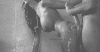 73B5094E-FC06-4983-9CC6-0AA7327D1C1C.gif