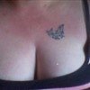 dolphin tattoo.jpg