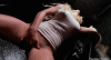 ae6b5824dbcba0a9fe98f11877dc6ceb5c5e189c.gif
