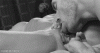6EFA5F27-EA30-4441-91FE-586685BDDB3E.gif