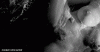 076A5590-C438-4A5F-A491-490BABC425D4.gif
