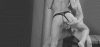 panties_001.gif
