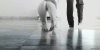3B42BAF0-5EF3-4DC6-91F7-BE265C593900.gif