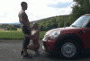 9B8037CE-23FE-4EAA-8F09-7ADC9F909E1F.gif