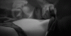 b216a736d7ba610cd7446a555bdb48b42ebf217c.gif