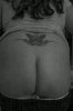 546_1000.jpg
