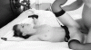 8abcd376709777fc71c209b057137e52bd70a278.gif