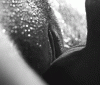 3C91B2BA-D67D-4343-8354-5DCE2B21E95C.gif