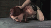 image.gif